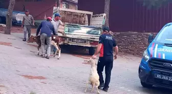 Manisa'da başlayan yangın Salihli ilçesine kadar ilerledi