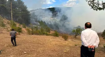 Kastamonu'da Orman Yangını Söndürüldü