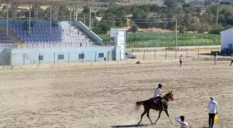 Selendi'de Atlı Cirit Müsabakaları Yarı Final Heyecanı Başladı