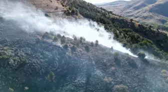 Sivas Yıldızeli'nde Orman Yangını Kontrol Altına Alındı