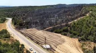 Çanakkale'de Büyükanafarta köyü yakınlarında çıkan yangın dron ile görüntülendi