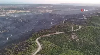 Tarihi Gelibolu Yarımadası'ndaki yangın dron ile görüntülendi