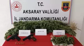 Aksaray'da Yasa Dışı Kenevir Ekimi ve Uyuşturucu Ticareti Operasyonu