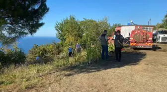 Zonguldak'ta fındık bahçesinde çıkan yangın kontrol altına alındı