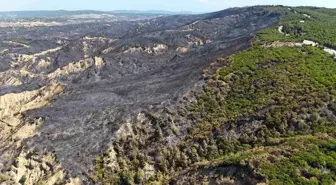 Çanakkale Savaşları'nın yaşandığı Tarihi Gelibolu Yarımadası'nda Yangın Kontrol Altına Alındı