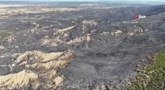 Tarihi Gelibolu Yarımadası'ndaki yangın sonrası soğutma çalışmaları devam ediyor