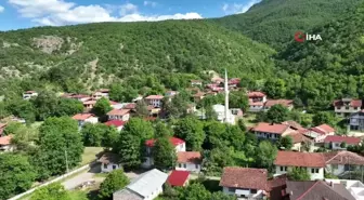 Almus'un mutfak mirası: Gelenekten geleceğe tadına doyulmaz yöresel lezzetler