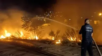 Hatay'da Asi Nehri çevresinde çıkan yangın söndürüldü