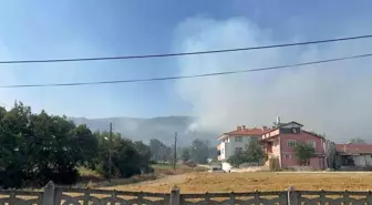 Bolu'da çıkan orman yangınında 2 kişi tutuklandı