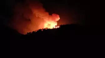 Göynük'teki orman yangınında havadan müdahaleye ara verildi