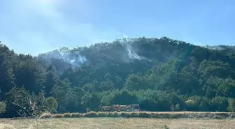 Bolu'daki Orman Yangını Bölge Halkı Tarafından Merakla İzleniyor