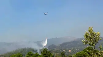 Aydın'da 19 Saattir Devam Eden Orman Yangını Söndürülmeye Çalışılıyor