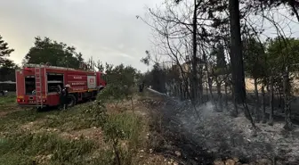 Elazığ'da çıkan yangın kontrol altına alındı