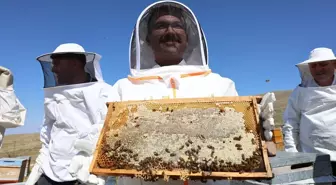 Iğdır Valisi Ercan Turan, kırsalda bal hasadı yaptı