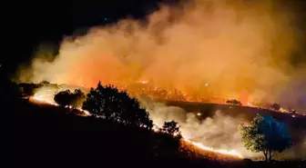 Tunceli'de çıkan orman yangınının sebebi açıklandı