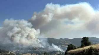 Uşak'ın Eşme ilçesinde yangın çıktı