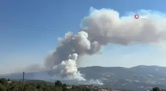 Uşak'ta otluk alanda çıkan yangına müdahale devam ediyor