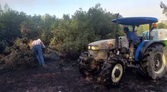 Manisa'da orman yangınında müdahale sürüyor