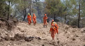 Bolu'daki Orman Yangını Kontrol Altına Alındı