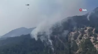 Bolu'da yanan alan böyle görüntülendi