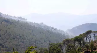 Aydın'da devam eden orman yangınına ekipler müdahale ediyor