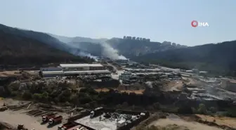 İzmir'de çıkan orman yangınında onlarca dönüm alan zarar gördü