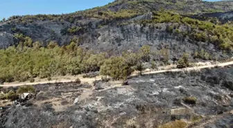 İzmir Karşıyaka'da Orman Yangını: Dron İle Görüntülendi