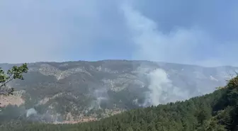 Karabük'ün Ovacık ilçesinde çıkan yangın 46 saattir devam ediyor