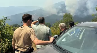 Karabük Valisi Mustafa Yavuz, Ovacık ilçesindeki orman yangını bölgesinde inceleme yaptı