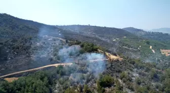 Manisa'da devam eden orman yangınına müdahale sürüyor