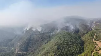 Manisa'da Orman Yangını 5. Günde Devam Ediyor