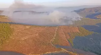 Manisa'da devam eden orman yangınlarına müdahale sürüyor