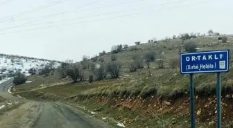 Mardin'in Mazıdağı ilçesine bağlı Ortaklı köyüne kayyım atandı