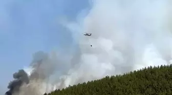 Muğla'da Orman Yangınlarına 20 Hava Aracıyla Müdahale Ediliyor