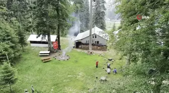 Pandemi Sonrası Huzuru Yaylada Buldu