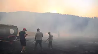 Uşak'ta çıkan yangın ormana sıçradı