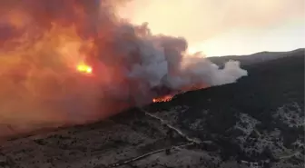 Çankırı'da alevler hızla ilerliyor! 4 köy tahliye edildi