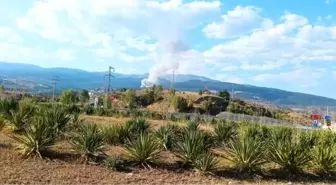 Çankırı'nın Ilgaz ilçesinde ormanlık alanda yangın çıktı