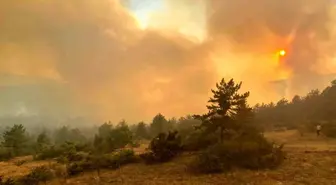 Çankırı'nın Ilgaz ilçesinde orman yangınına müdahale devam ediyor