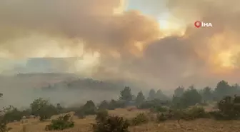 Çankırı'daki orman yangınına havadan ve karadan müdahale sürüyor