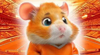 HAMSTER KOMBAT 19 AĞUSTOS PAZARTESİ GÜNLÜK ŞİFRE KOMBO KARTLARI | Hamster Kombat yeni şifre ne, nasıl kullanılır? Hamster Kombat nedir?