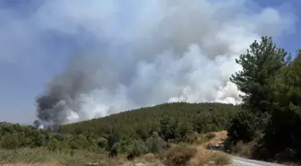 Muğla'daki Orman Yangınları Kontrol Altına Alındı