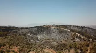 Muğla'daki yangınlar kontrol altına alındı