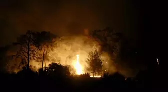 Muğla'da orman yangınına gece görüşlü helikopterlerle müdahale sürüyor