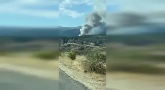 Ilgaz'daki Orman Yangınına Müdahale Ediliyor