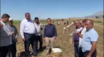 CHP Milletvekili Gürer, Patates Üreticilerinin Sorunlarını Dinledi