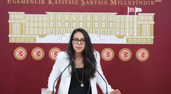 TİP Milletvekili Sera Kadıgil, AK Parti Sözcüsüne Yanıt Verdi