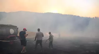 Uşak'taki Orman Yangını 44 Saat Sonra Kontrol Altına Alındı