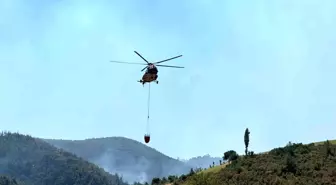 Uşak'ın Eşme ilçesinde çıkan orman yangını kontrol altına alındı