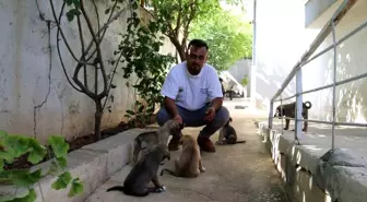 Hayvansever İbrahim Göçer, İtfaiye Ekipleriyle Birlikte Sıkışan Yavru Köpekleri Kurtardı